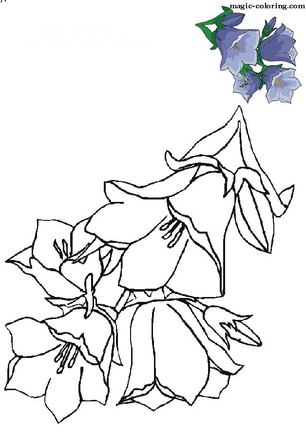 Magic Coloring Games And Coloring Pages For Kids and Adults.
