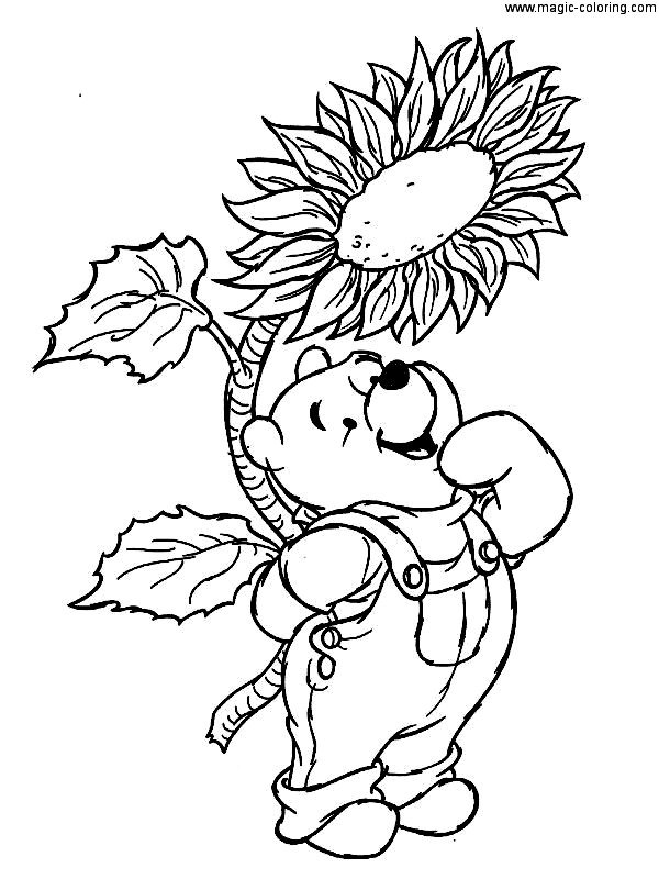 Winnie The Pooh And Sunflower Coloring