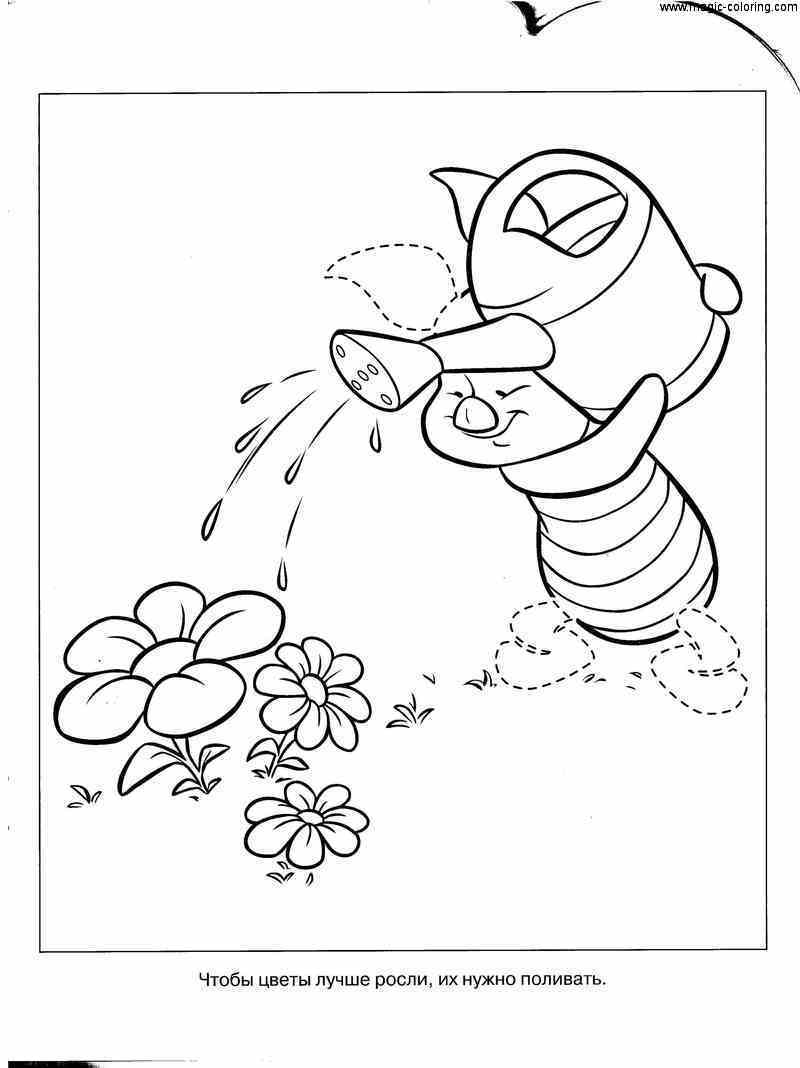 Piglet Watering Flowers Coloring