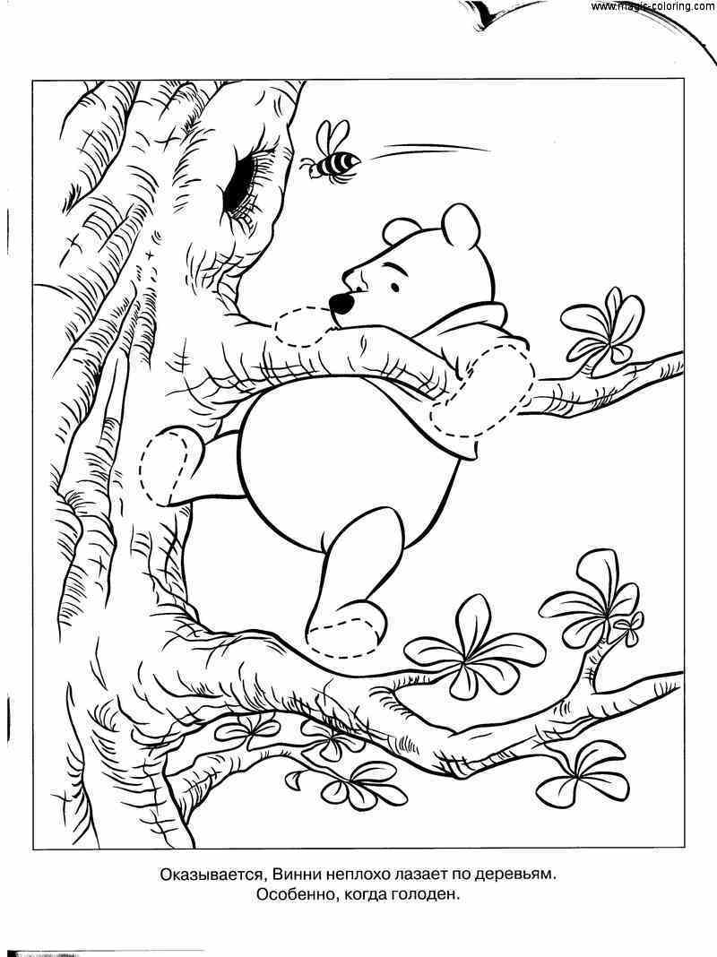 Winnie The Pooh Climbing The Tree Coloring