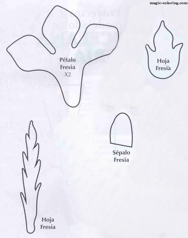 Download MAGIC-COLORING | Freesia flower template