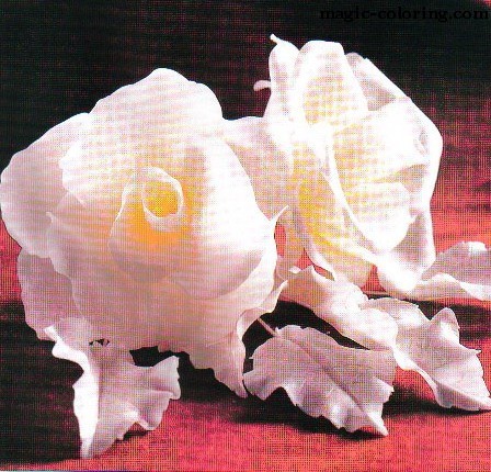 magic coloring rose flower template