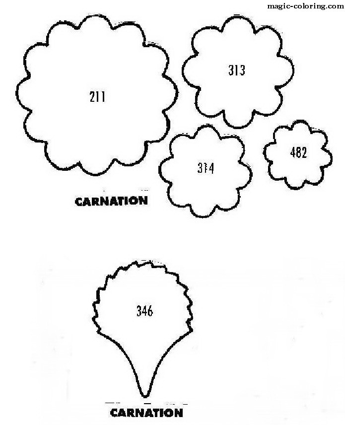 dianthus caryophyllus coloring pages - photo #8