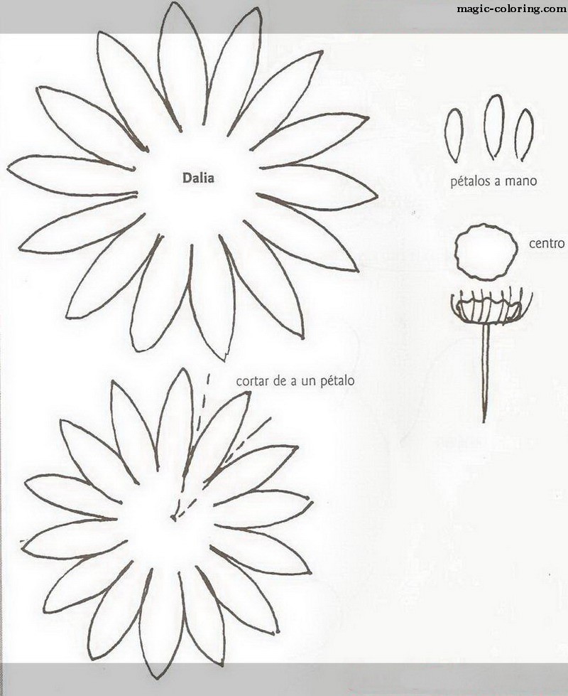 MAGICCOLORING Dahlia flower template