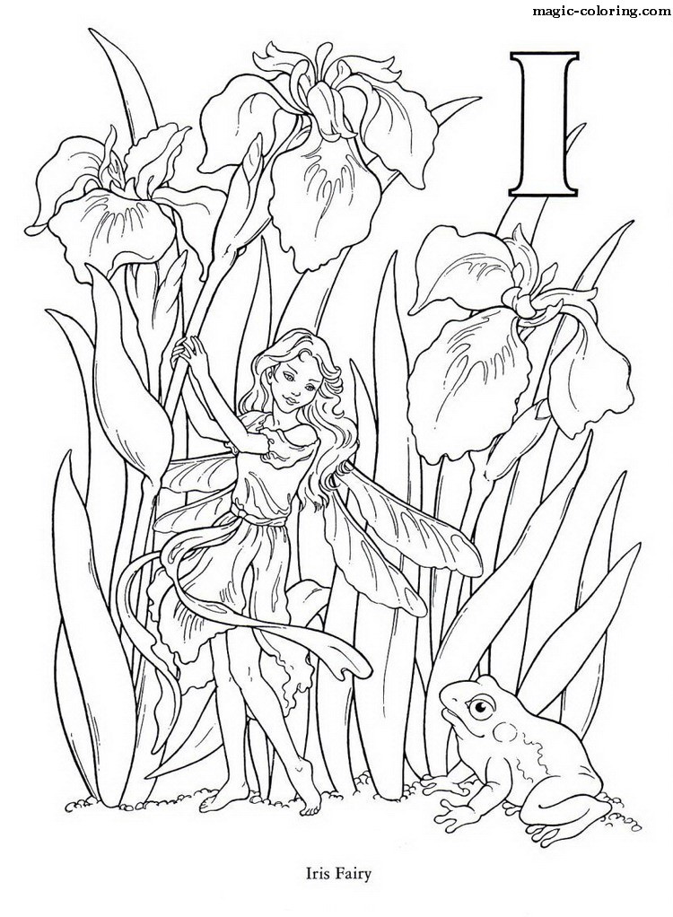 Iris Fairy Image