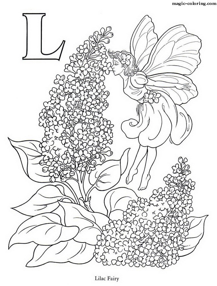 Lilac Fairy - Image