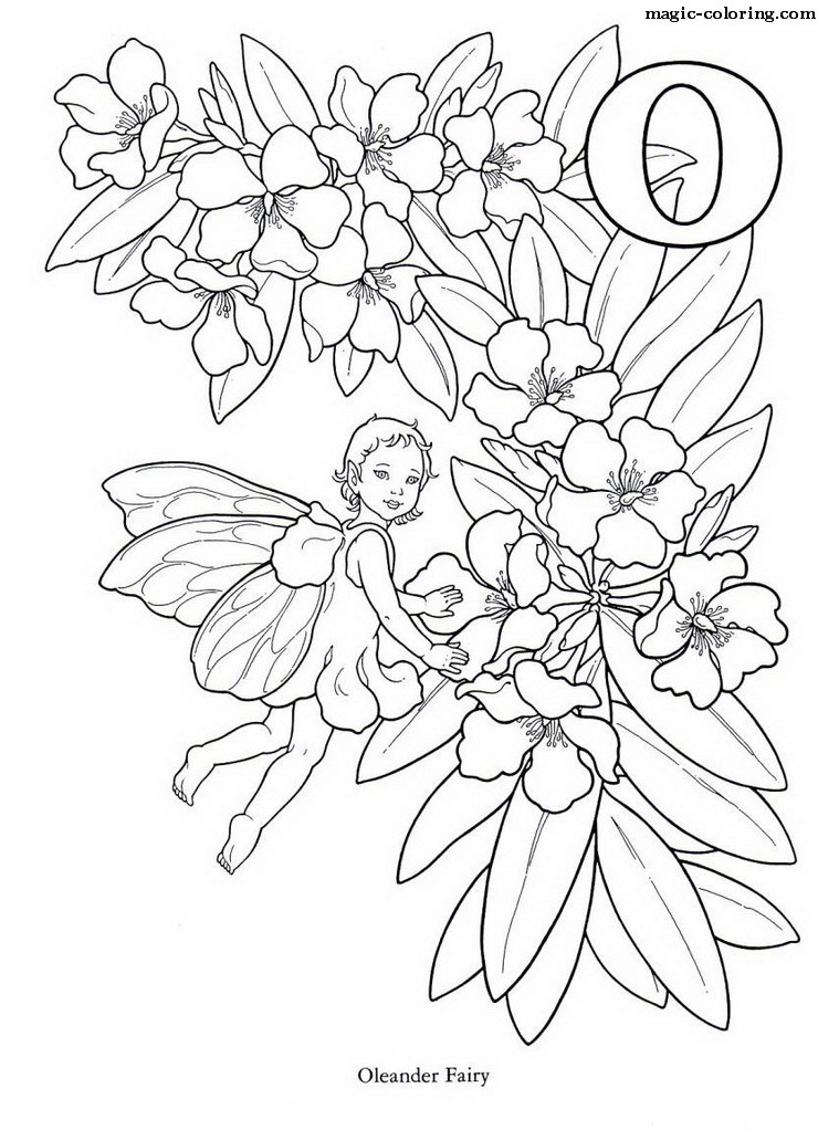 Oleander Fairy Image