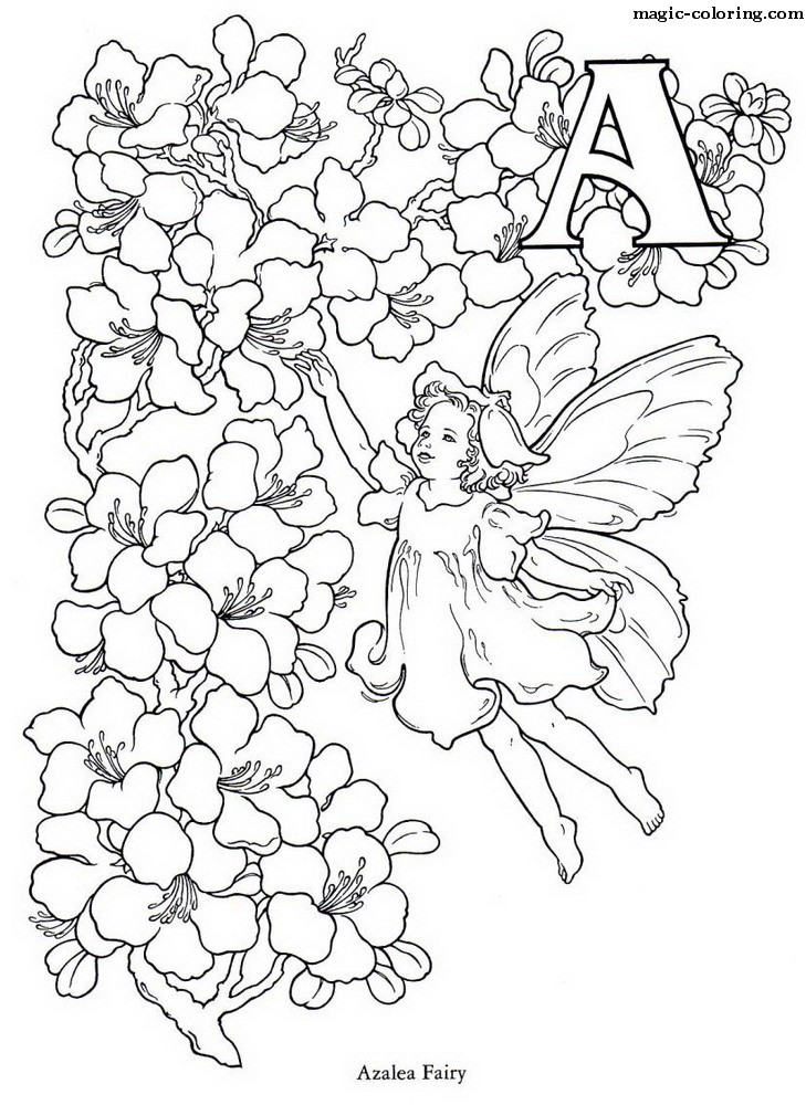 Azalea Fairy Image