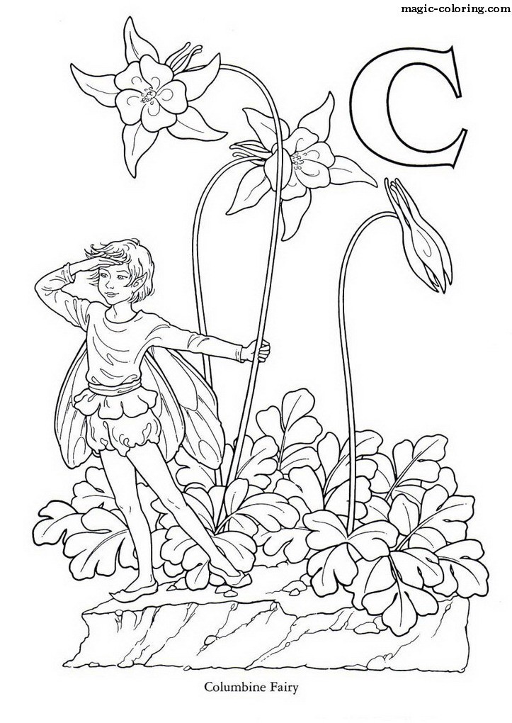 Columbine Fairy Image