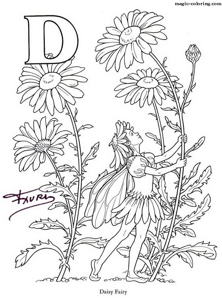 Daisy Fairy Image