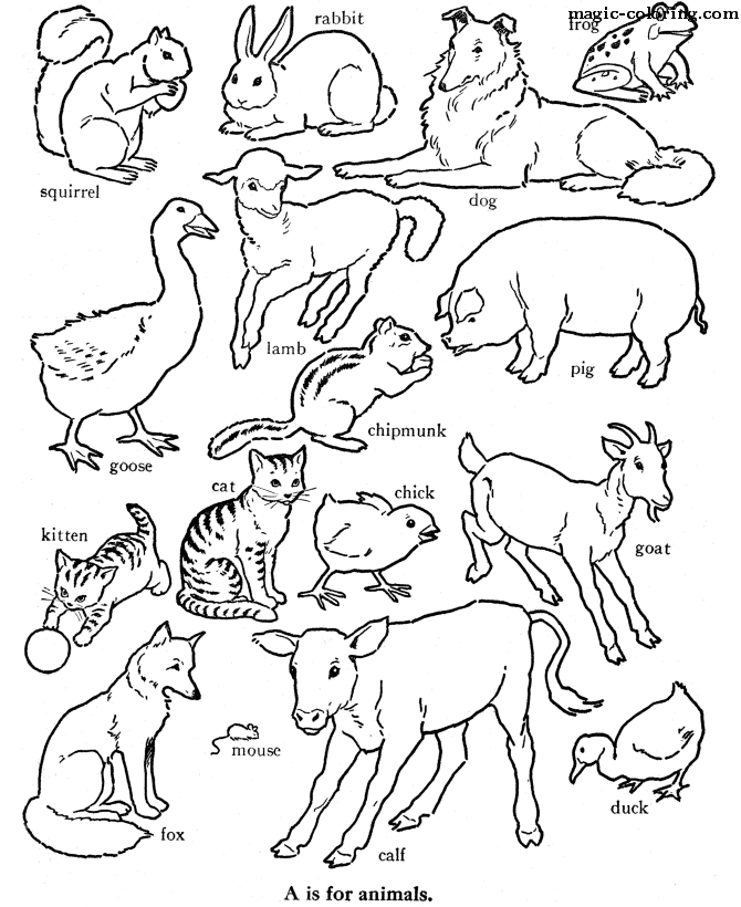 Quick coloring pages for Animals