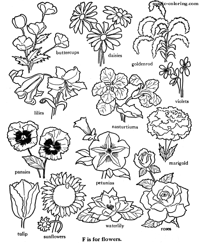 Quick Coloring Pages for Flowers