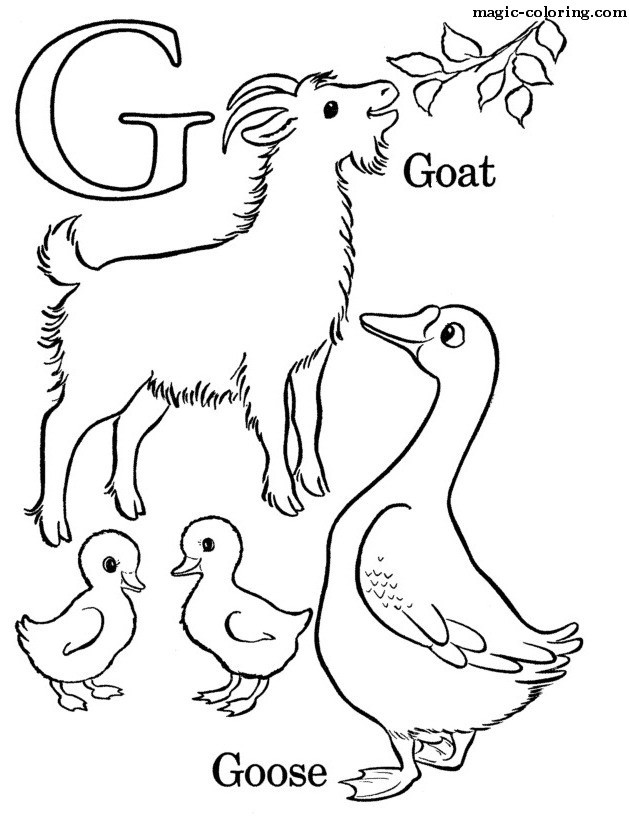 G for Goat And Goose