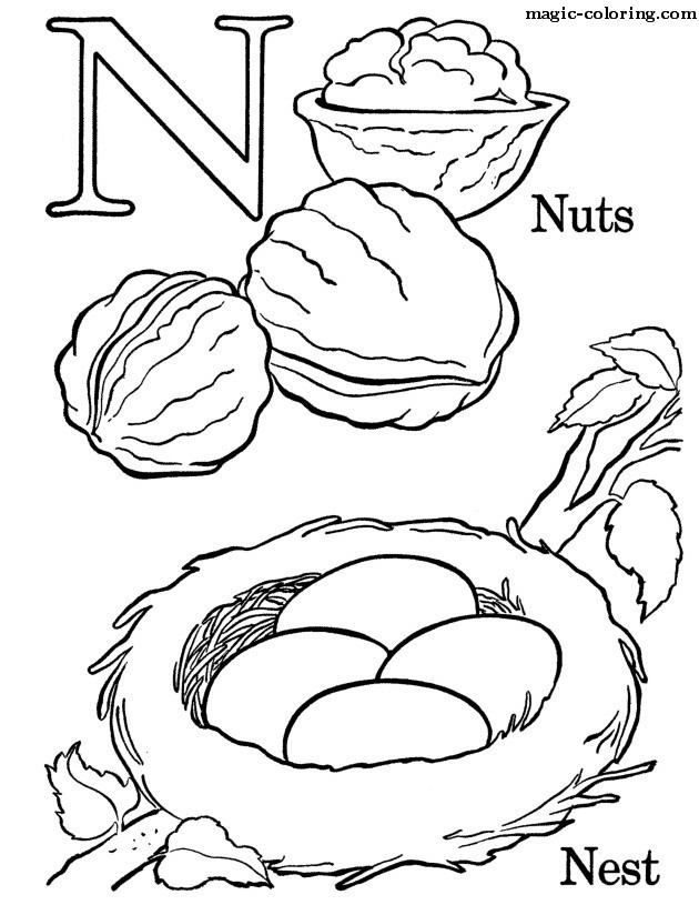 N for Nuts and Nest