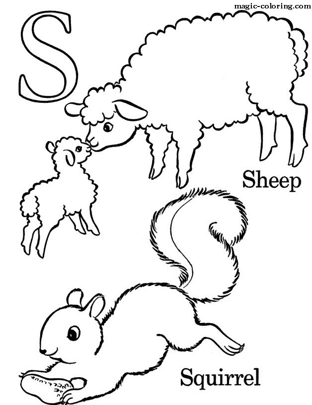 S for Sheep and Squirell