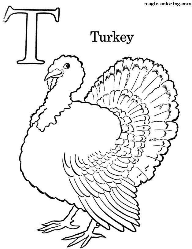T for Turkey