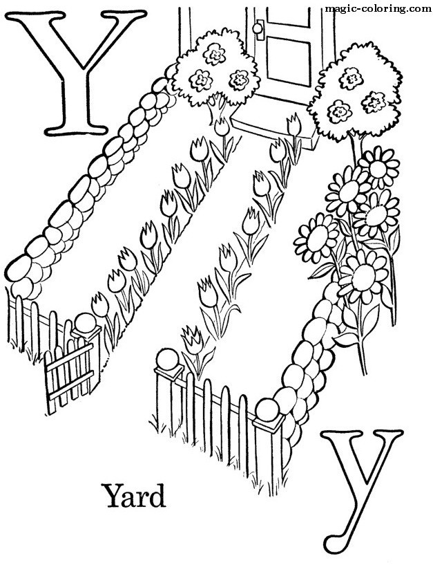 Y for Yard