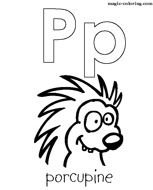P for Porcupine