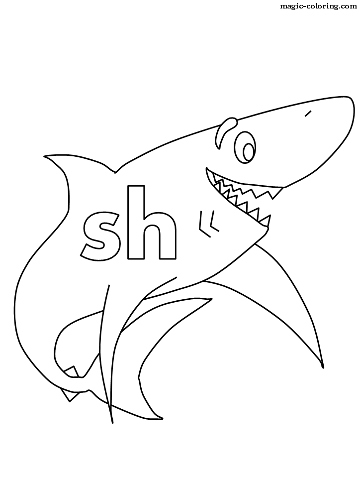 Sh for Kind Shark