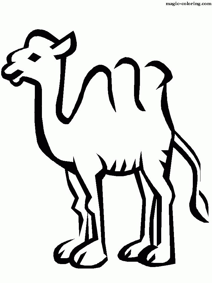 Vector Camel Coloring