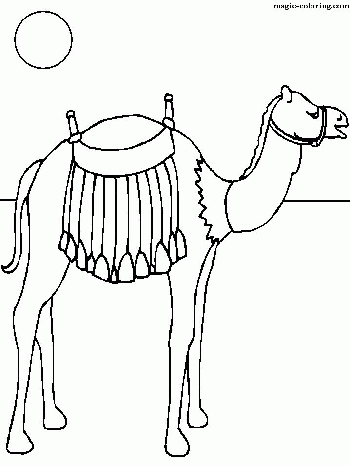 Caravan Camel