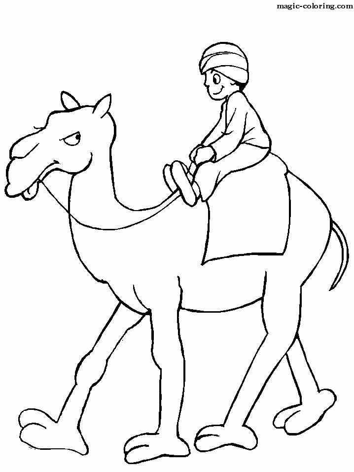 Kid Riding a Camel