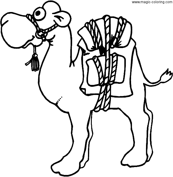 Camel With Big Eyes Waiting for Coloring