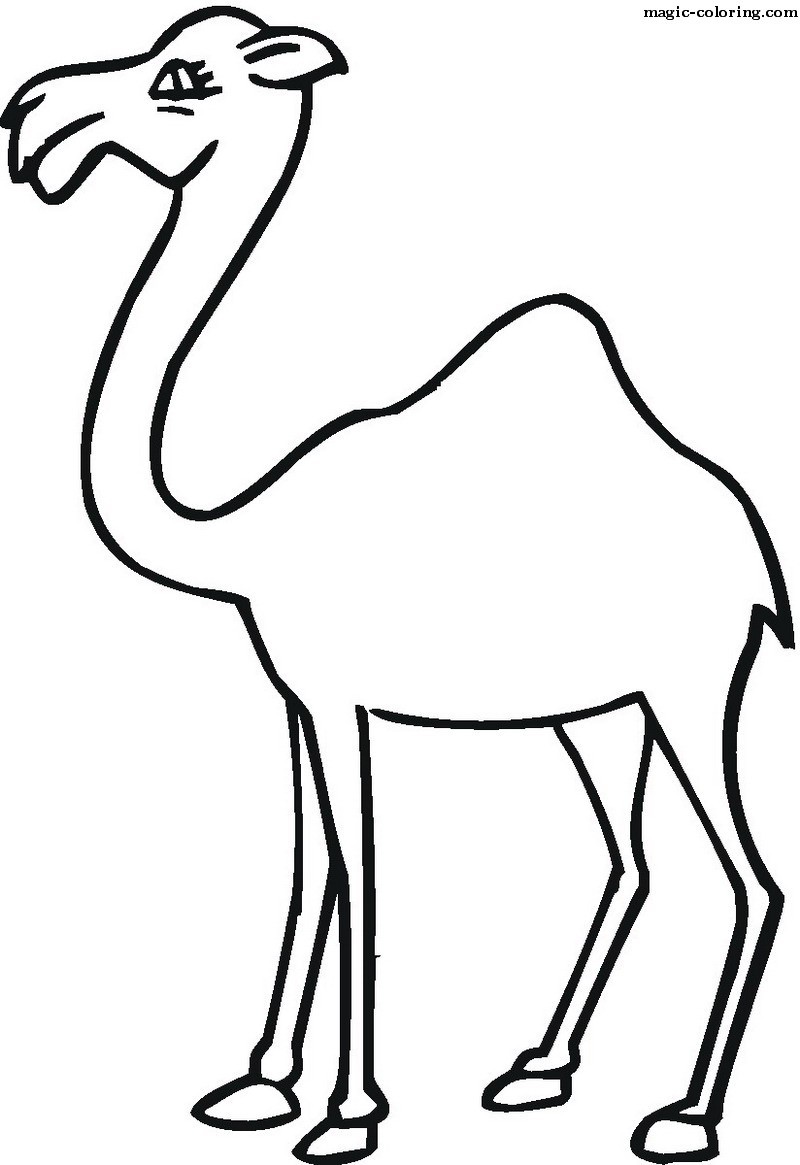 Very Easy Camel Coloring