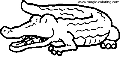 Easy Crocodile