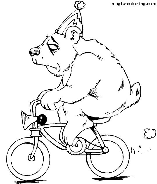 Unhappy Bear on Bycicle