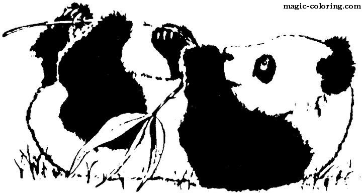 Backwards Laying Panda
