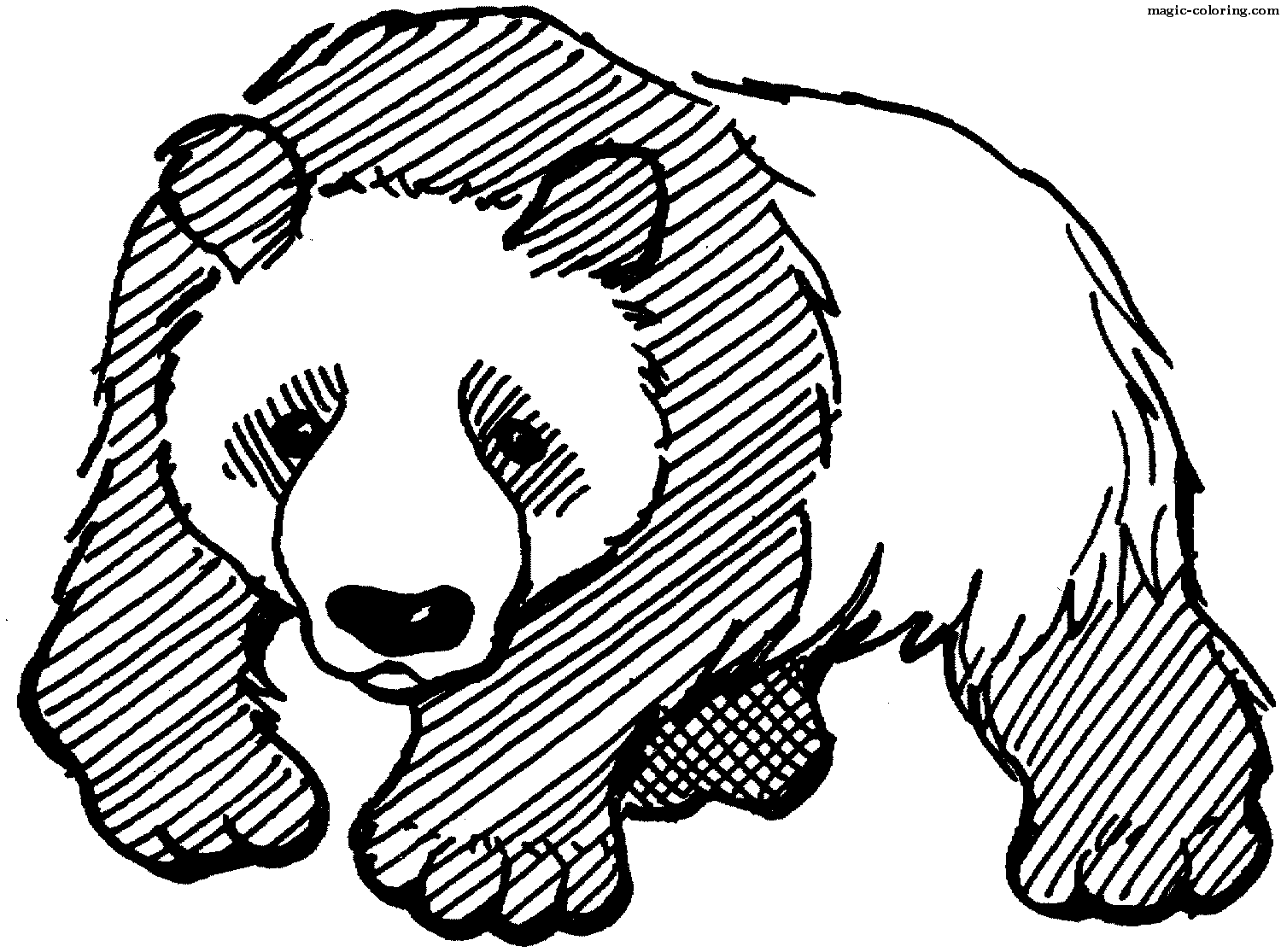Sad Panda Waiting for Coloring