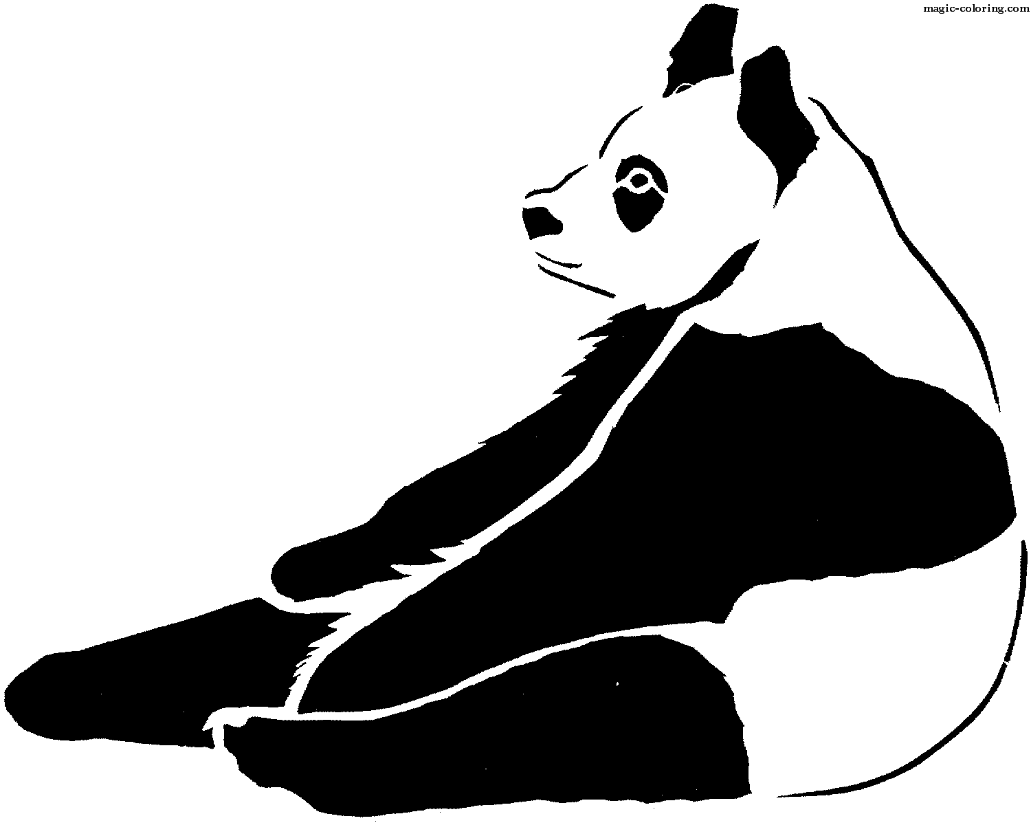 Sitting Panda Bear