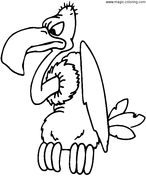 Angry Vulture