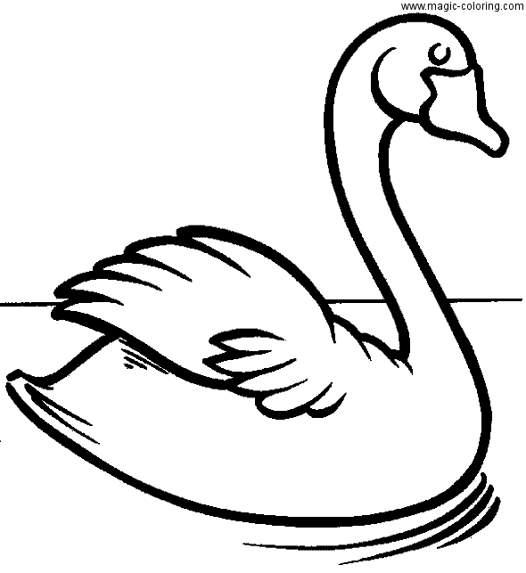 Easy Swan