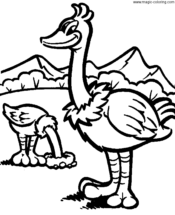 Twho Ostrich