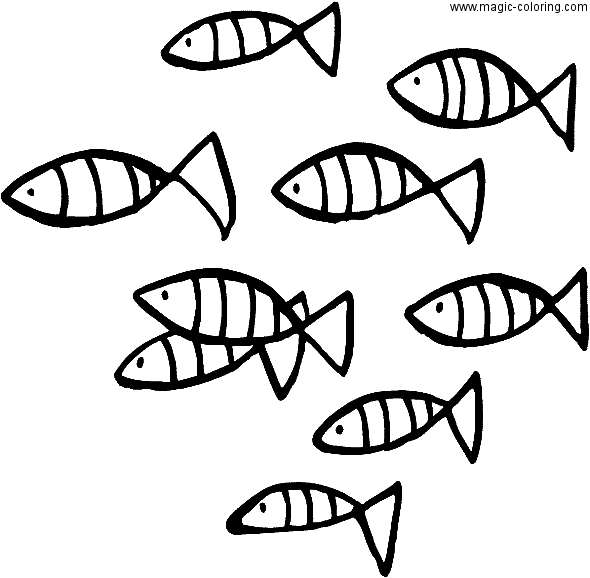 Some Fish