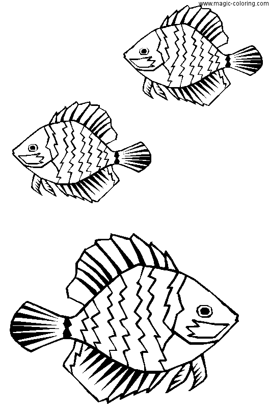 Three Fish