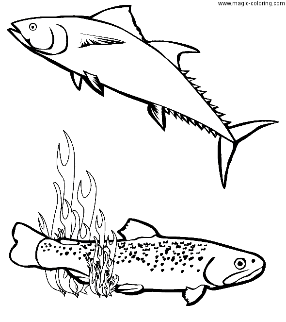 Drawable Fish