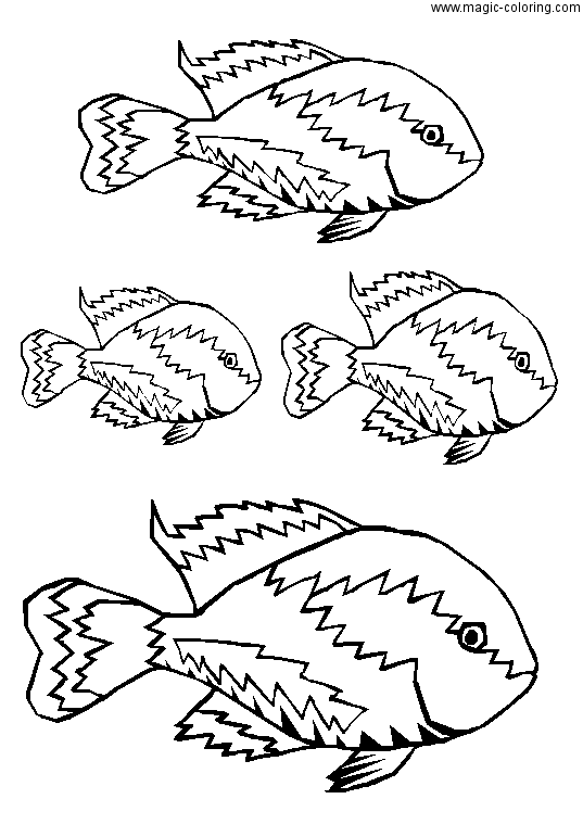 Poissons Coloring