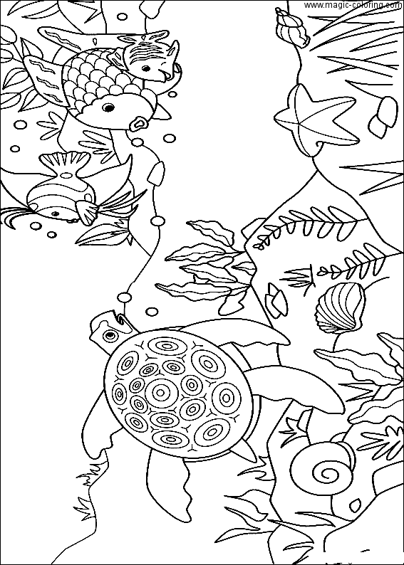 Fish and Turtle Coloring