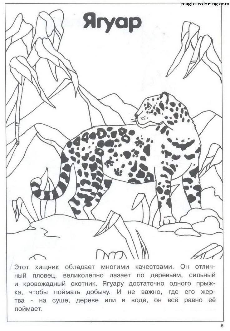 Рисунок из красной книги
