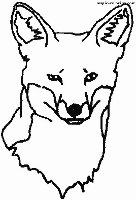 Fox Head