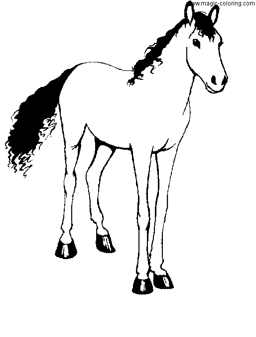 Magical Horse Coloring Pages MAGICCOLORING Horses coloring pages