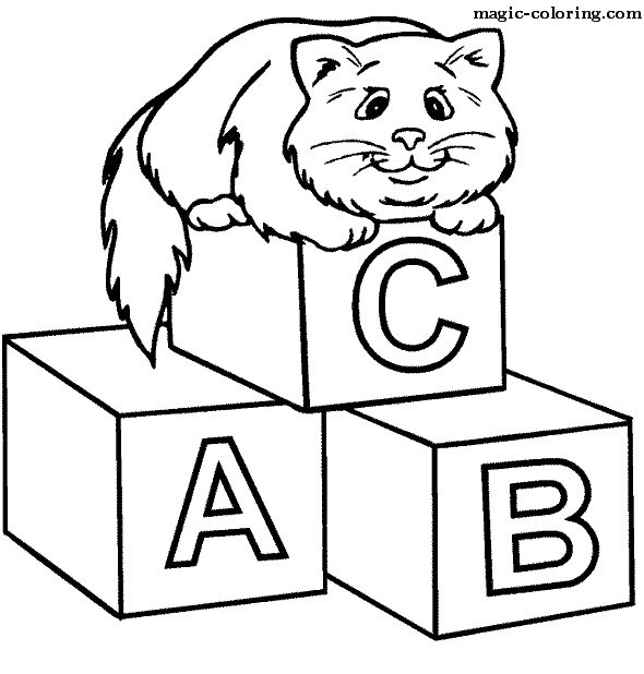 Cat sitting on ABC Blocks