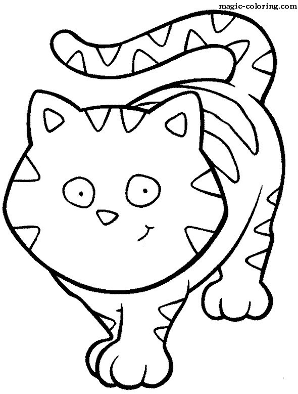 Round Cat Walking