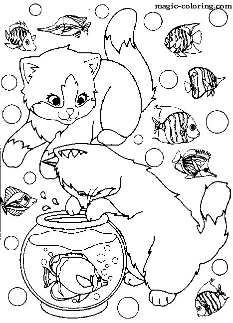 Two kittens and much fish