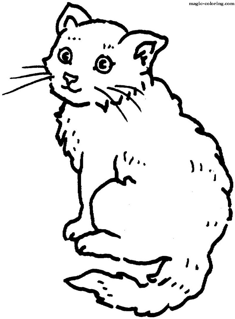 Сиамская Кошка Разукрашки