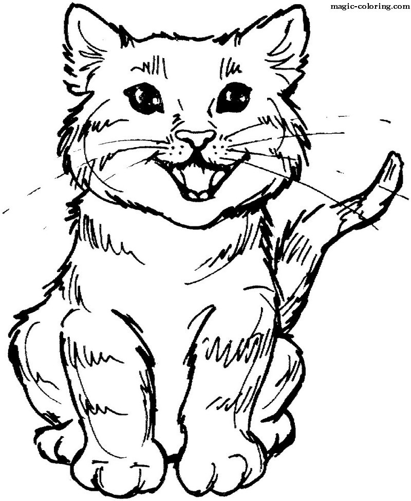 Happy Meow Cat