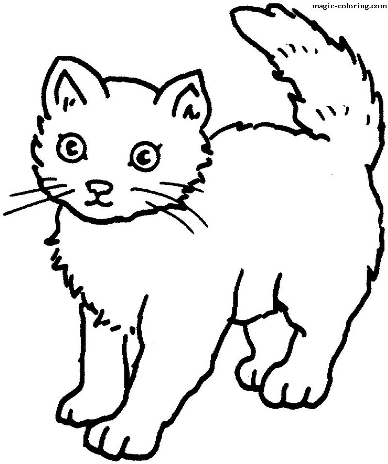 Кошки рисунок для детей